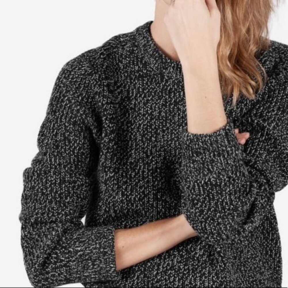 Everlane The Chunky Knit Boyfriend Crew Wool Sweater